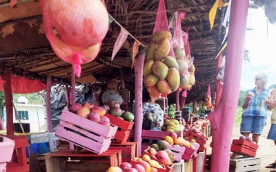 Fresh Fruits along the way to Chapala